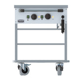 BAIN-MARIE TROLLE 2/1.